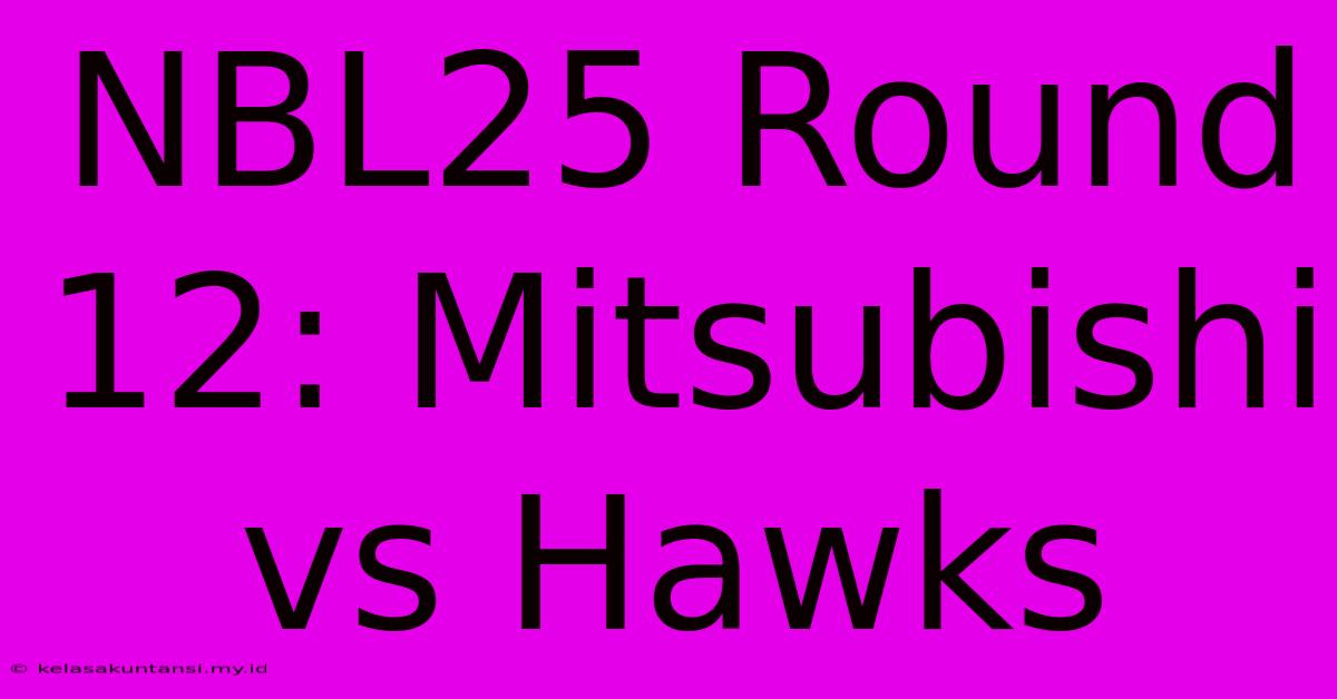 NBL25 Round 12: Mitsubishi Vs Hawks