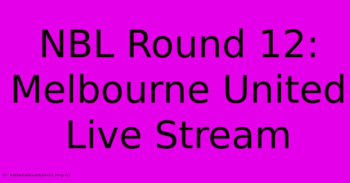 NBL Round 12: Melbourne United Live Stream