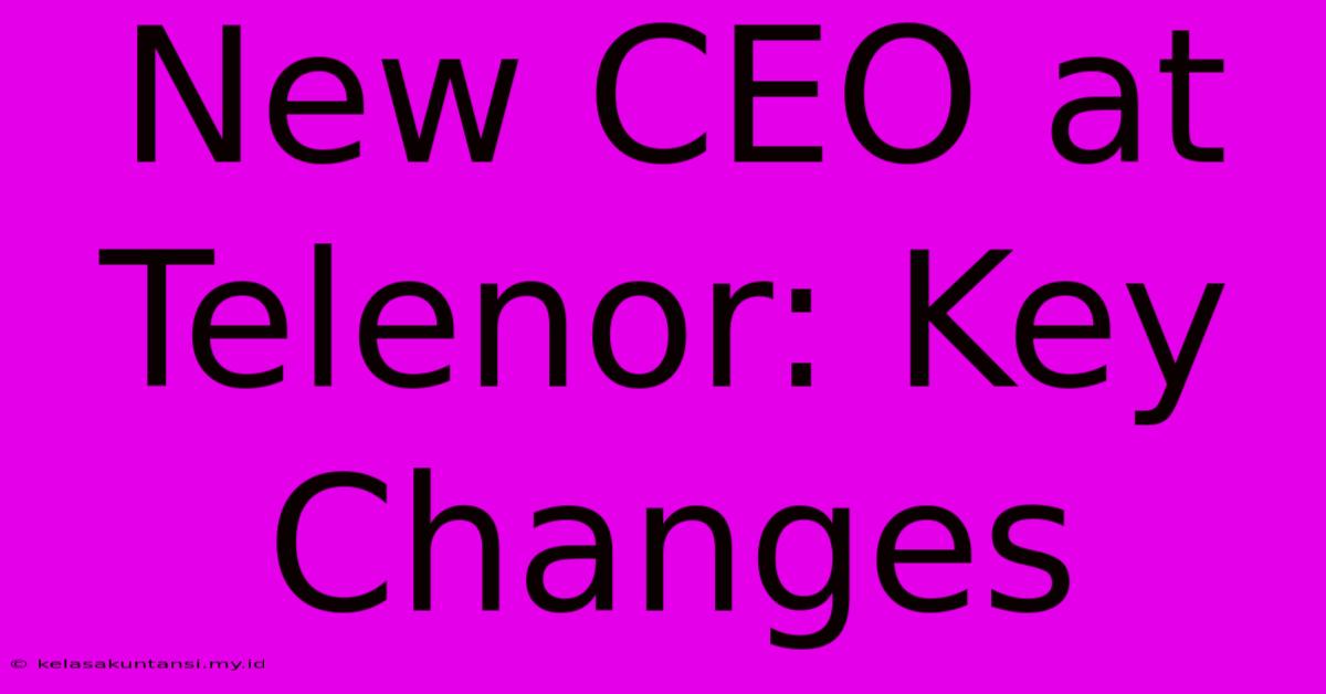 New CEO At Telenor: Key Changes