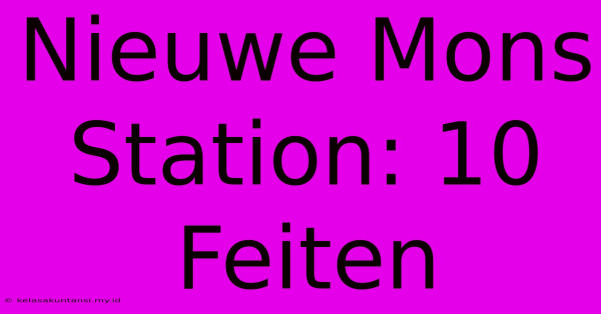 Nieuwe Mons Station: 10 Feiten