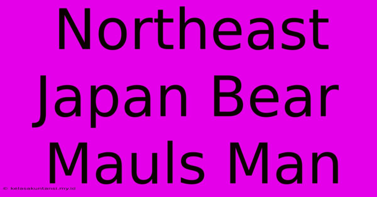 Northeast Japan Bear Mauls Man