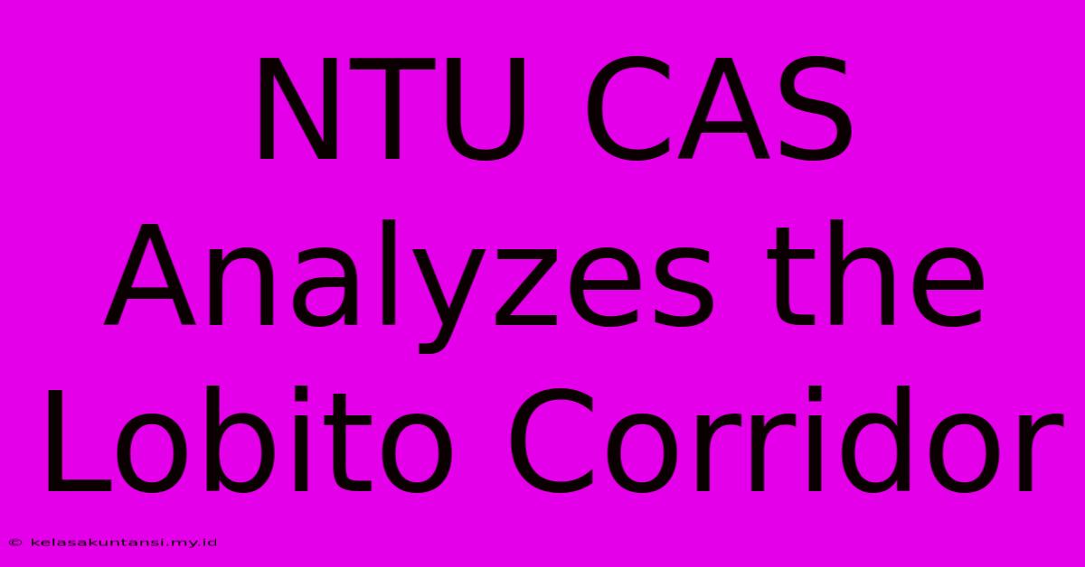 NTU CAS Analyzes The Lobito Corridor