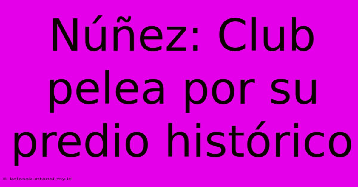 Núñez: Club Pelea Por Su Predio Histórico