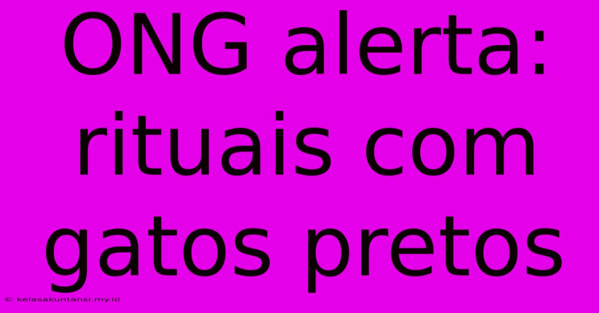 ONG Alerta: Rituais Com Gatos Pretos