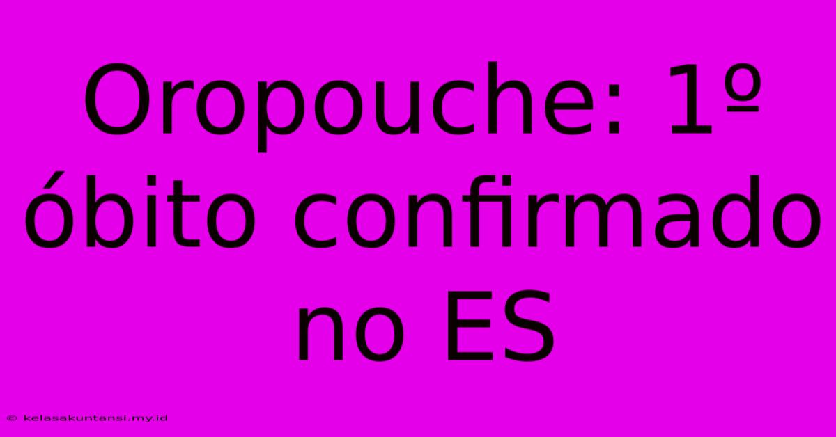 Oropouche: 1º Óbito Confirmado No ES