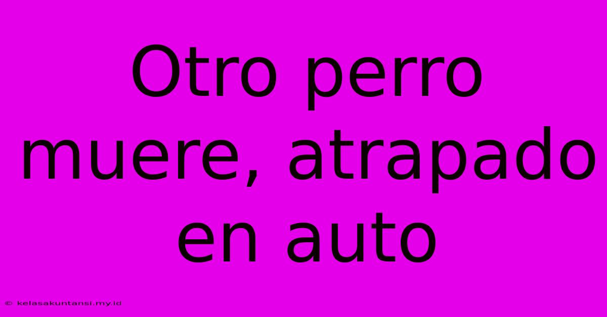 Otro Perro Muere, Atrapado En Auto