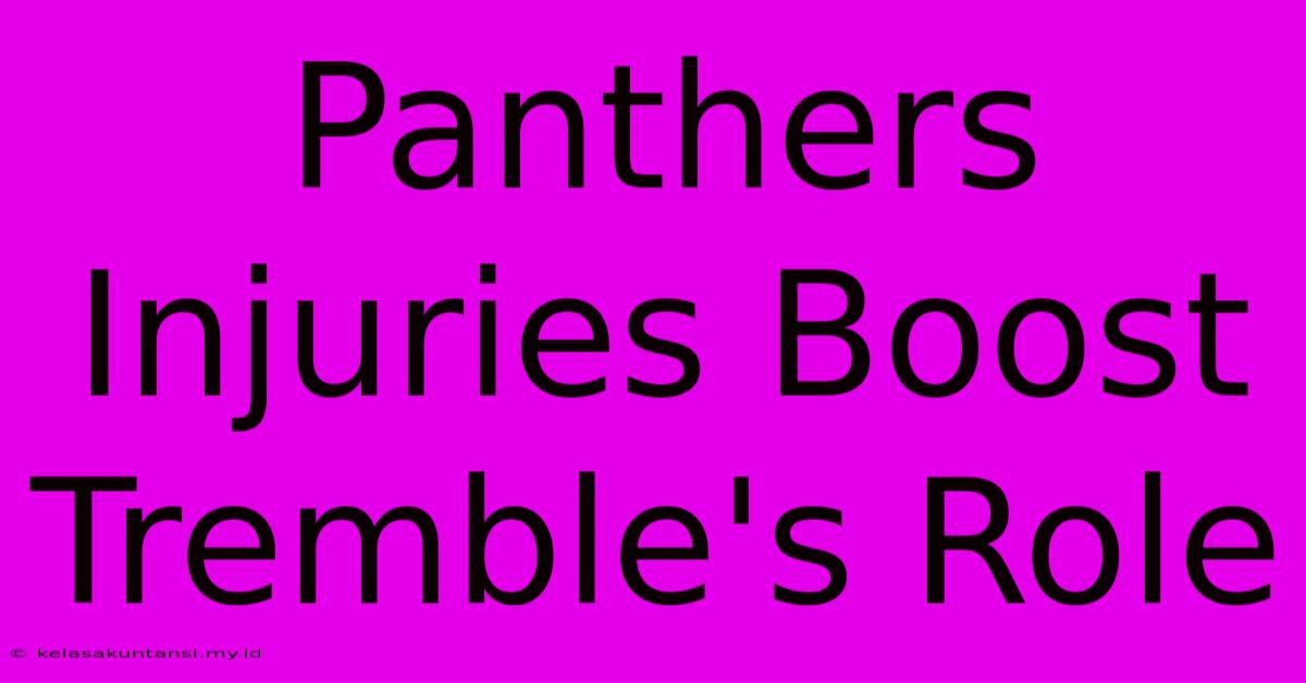 Panthers Injuries Boost Tremble's Role