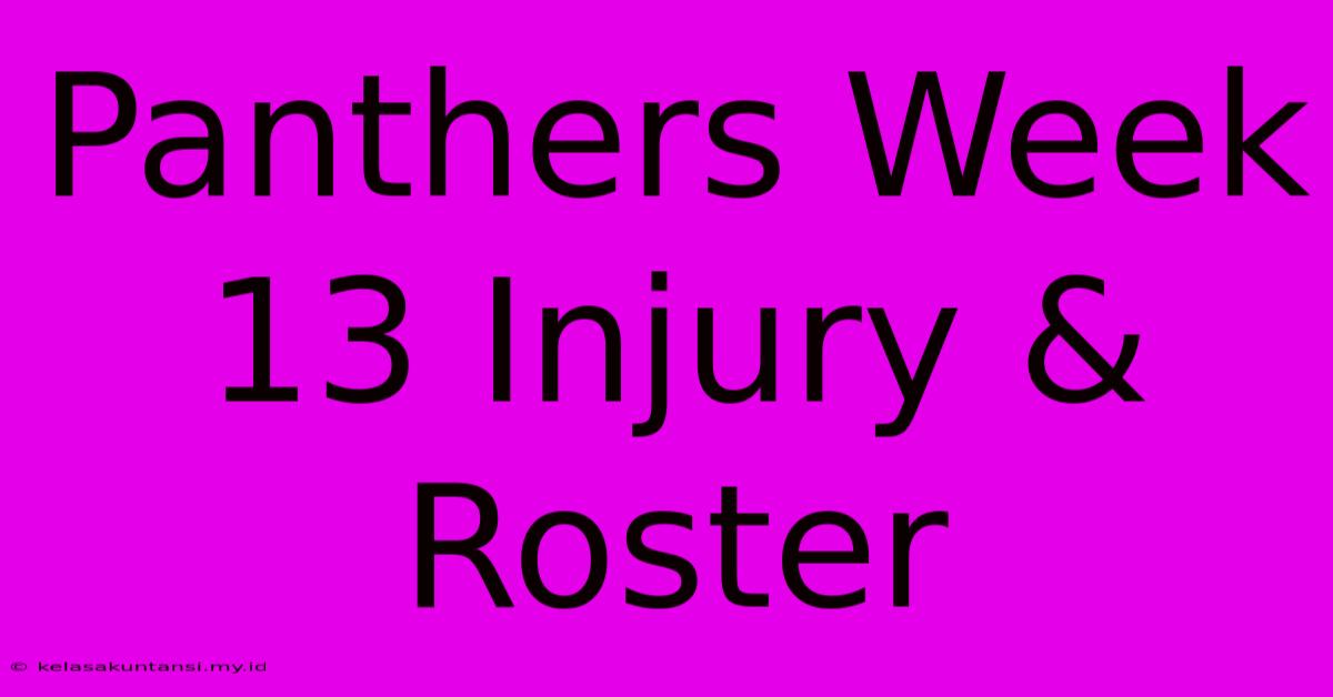 Panthers Week 13 Injury & Roster