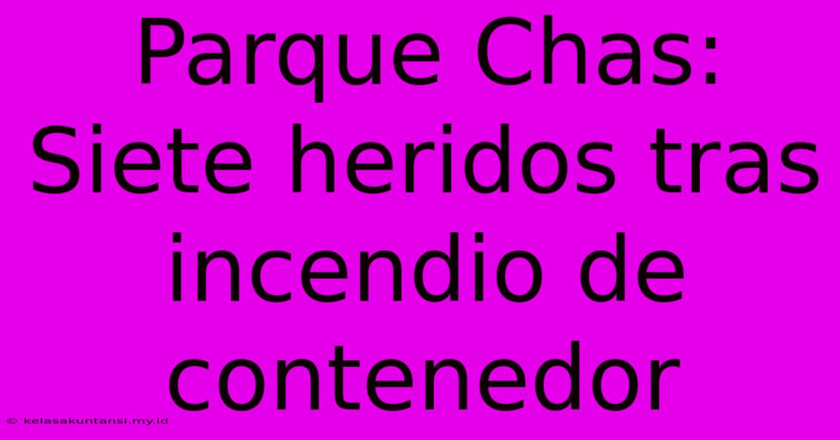 Parque Chas: Siete Heridos Tras Incendio De Contenedor