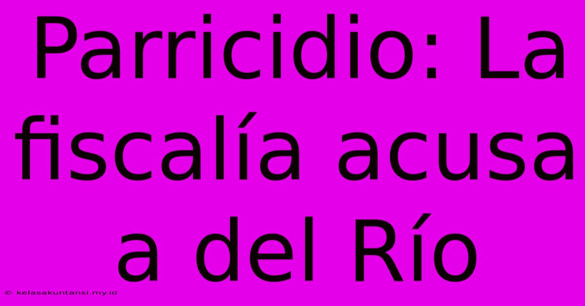 Parricidio: La Fiscalía Acusa A Del Río