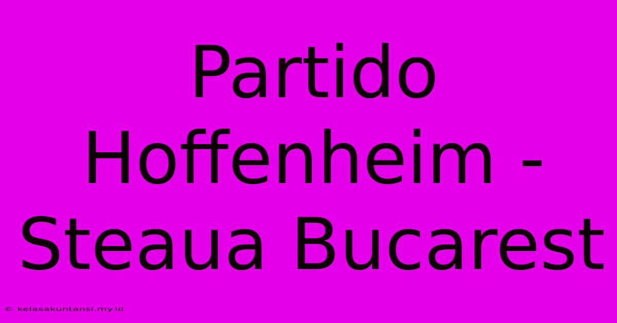 Partido Hoffenheim - Steaua Bucarest