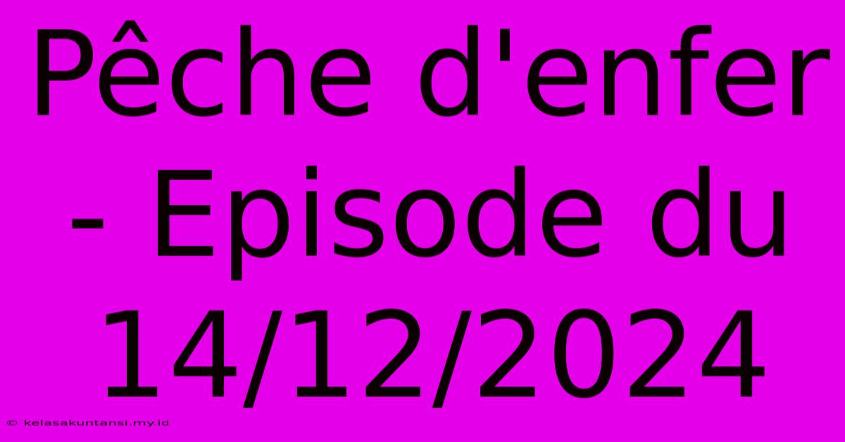 Pêche D'enfer - Episode Du 14/12/2024