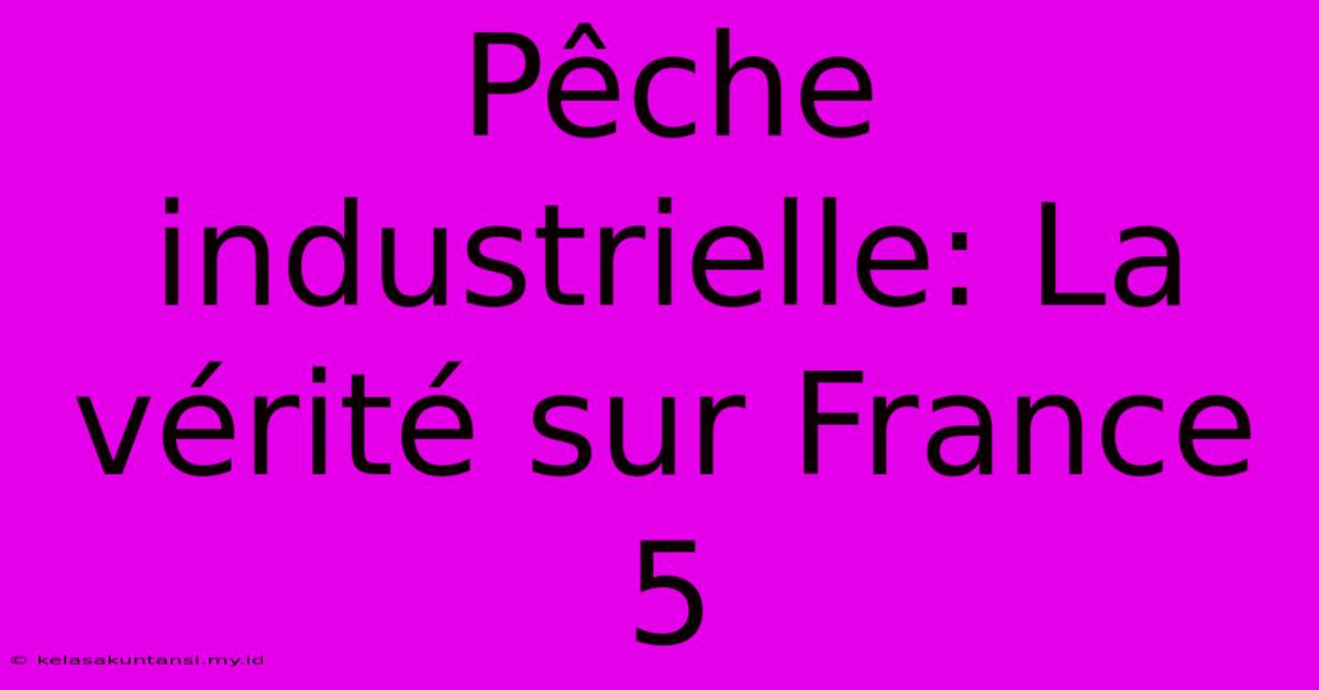 Pêche Industrielle: La Vérité Sur France 5