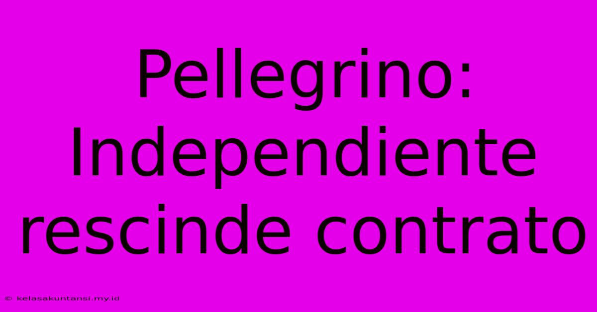 Pellegrino: Independiente Rescinde Contrato