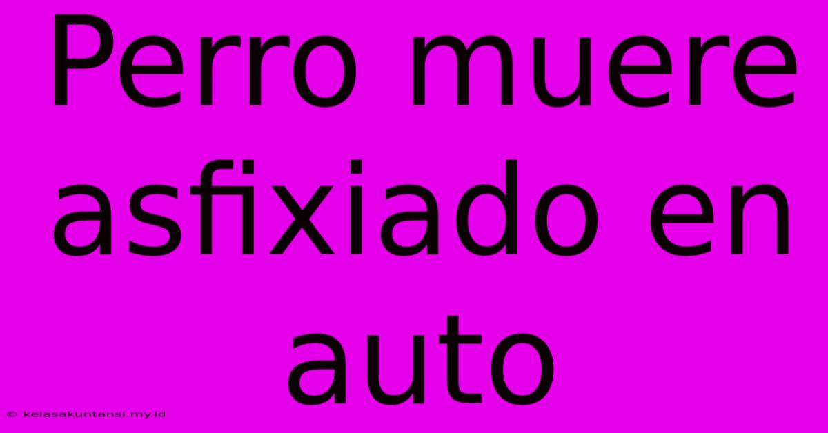 Perro Muere Asfixiado En Auto