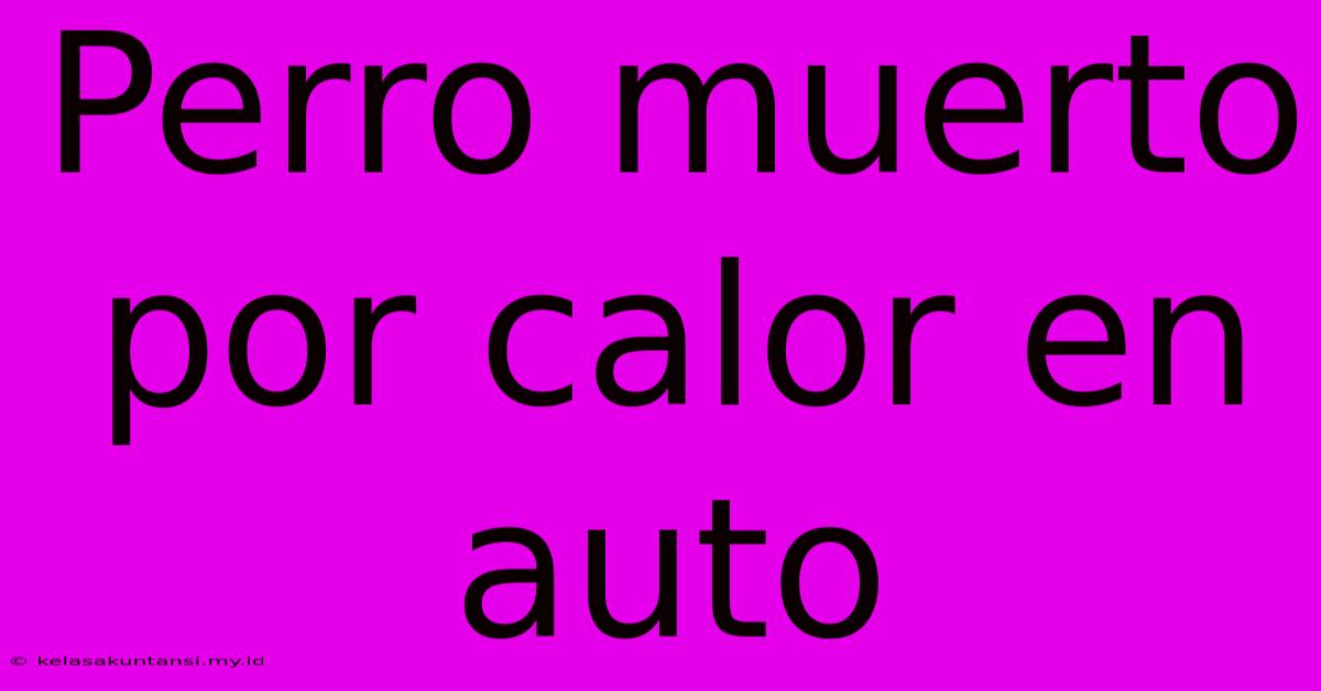 Perro Muerto Por Calor En Auto