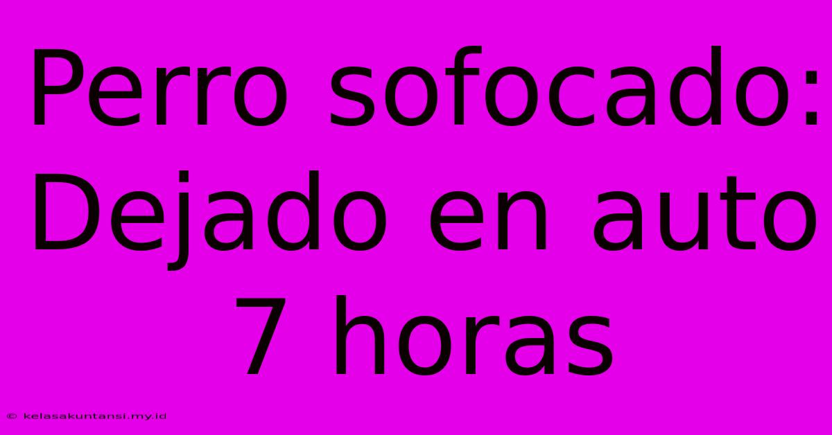 Perro Sofocado: Dejado En Auto 7 Horas