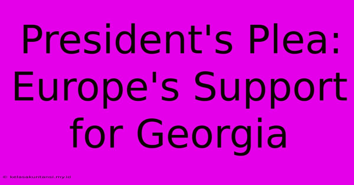 President's Plea: Europe's Support For Georgia