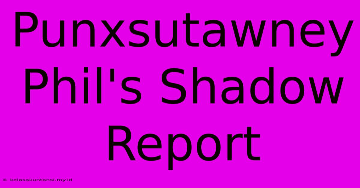 Punxsutawney Phil's Shadow Report