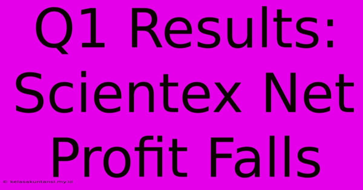 Q1 Results: Scientex Net Profit Falls