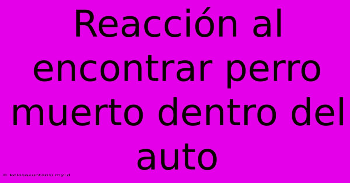 Reacción Al Encontrar Perro Muerto Dentro Del Auto