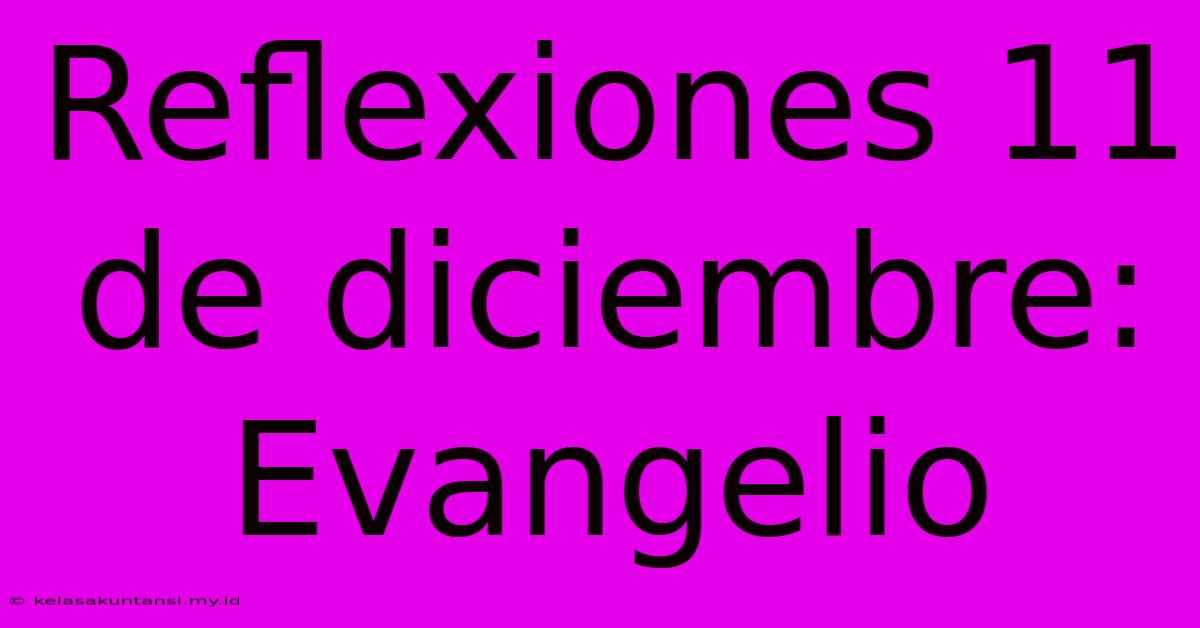 Reflexiones 11 De Diciembre: Evangelio