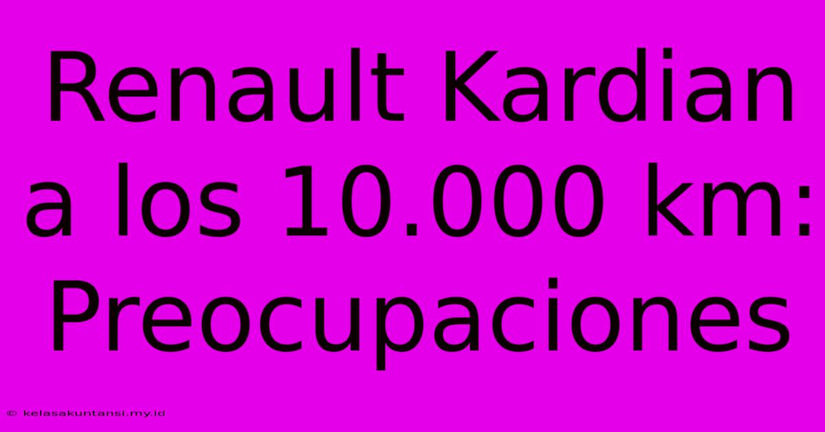 Renault Kardian A Los 10.000 Km: Preocupaciones