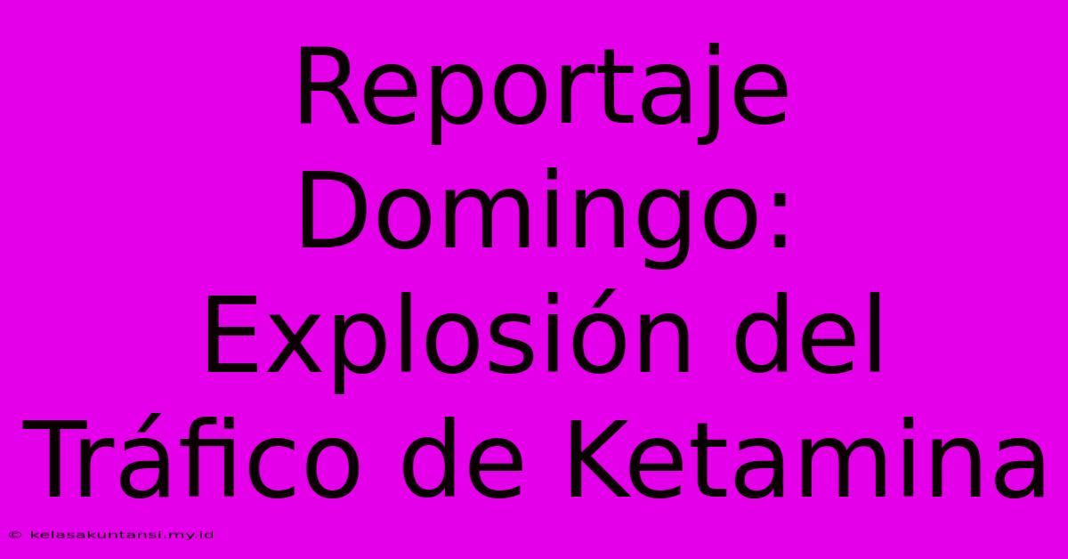 Reportaje Domingo: Explosión Del Tráfico De Ketamina