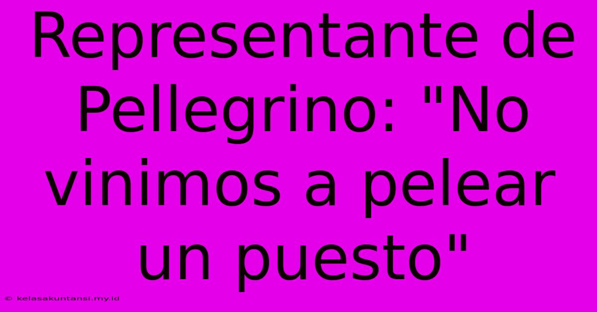 Representante De Pellegrino: 