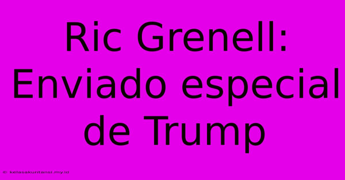 Ric Grenell: Enviado Especial De Trump