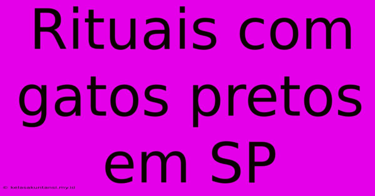 Rituais Com Gatos Pretos Em SP