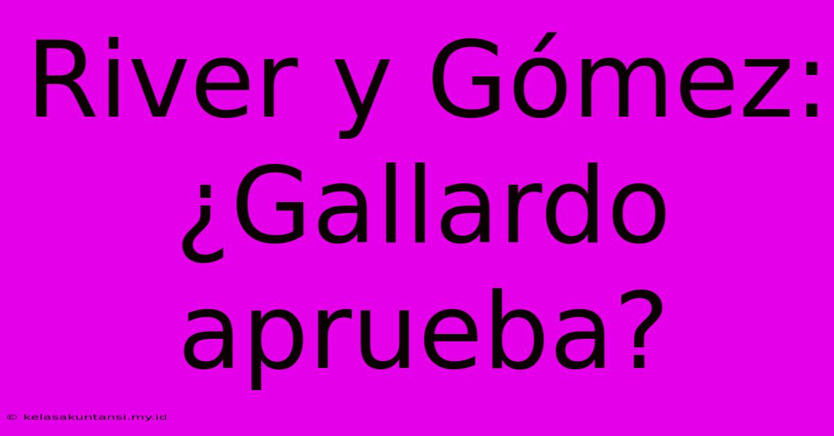 River Y Gómez: ¿Gallardo Aprueba?