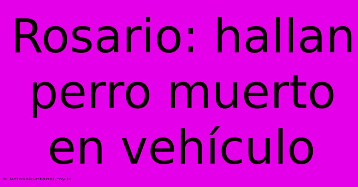 Rosario: Hallan Perro Muerto En Vehículo