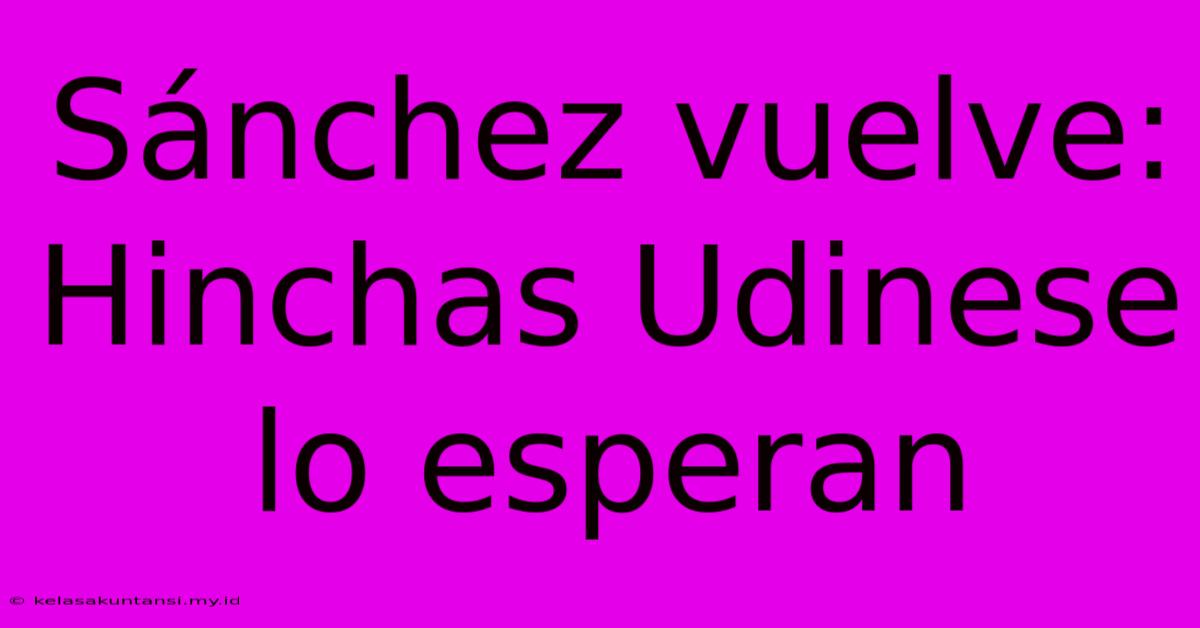 Sánchez Vuelve: Hinchas Udinese Lo Esperan