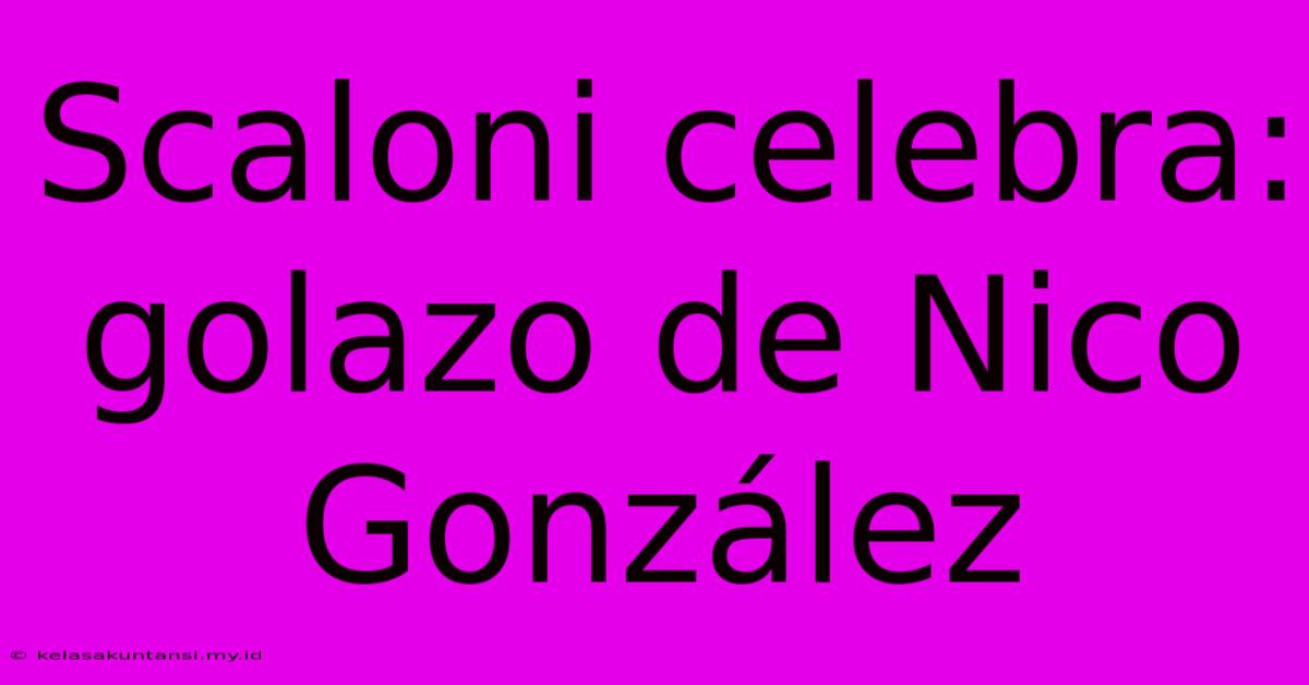 Scaloni Celebra: Golazo De Nico González