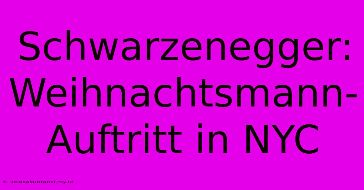 Schwarzenegger: Weihnachtsmann-Auftritt In NYC