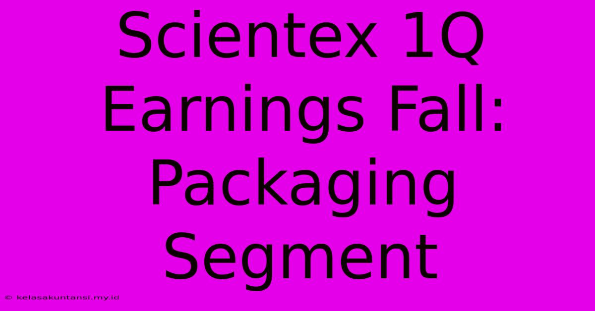 Scientex 1Q Earnings Fall: Packaging Segment