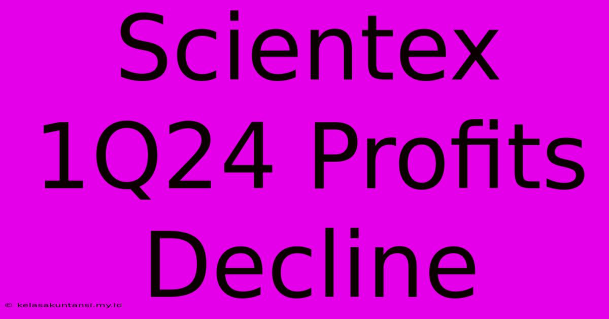 Scientex 1Q24 Profits Decline