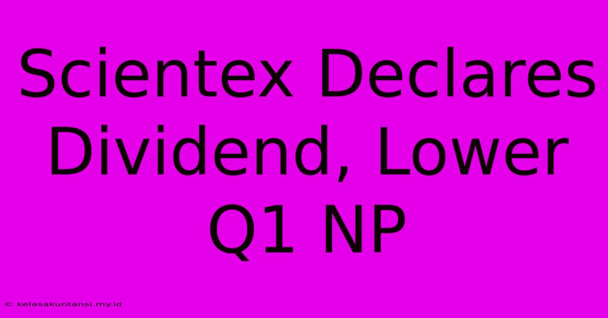 Scientex Declares Dividend, Lower Q1 NP