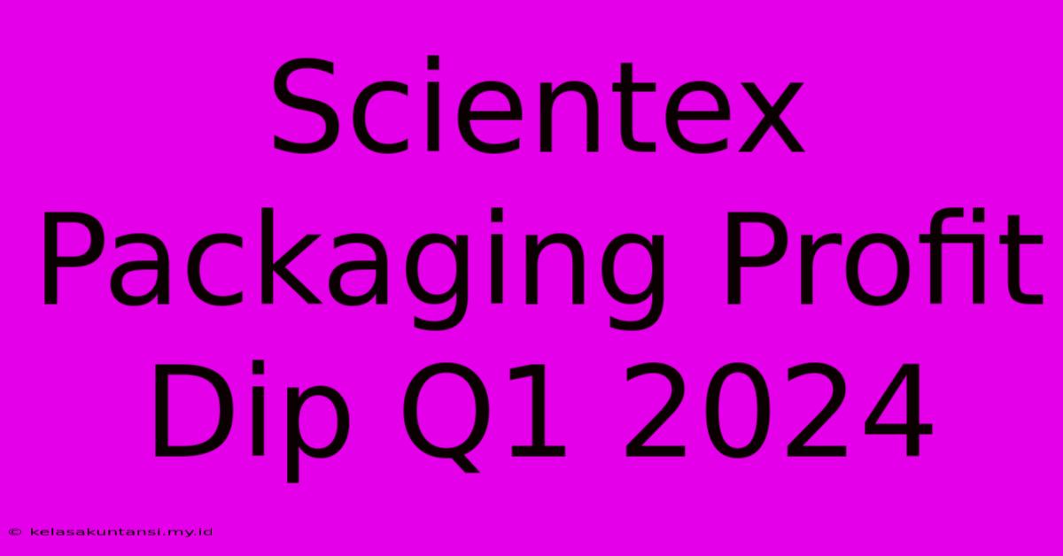 Scientex Packaging Profit Dip Q1 2024