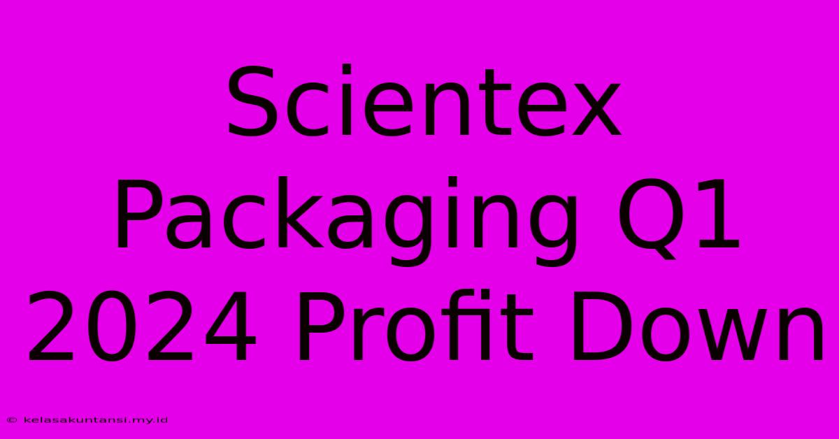 Scientex Packaging Q1 2024 Profit Down