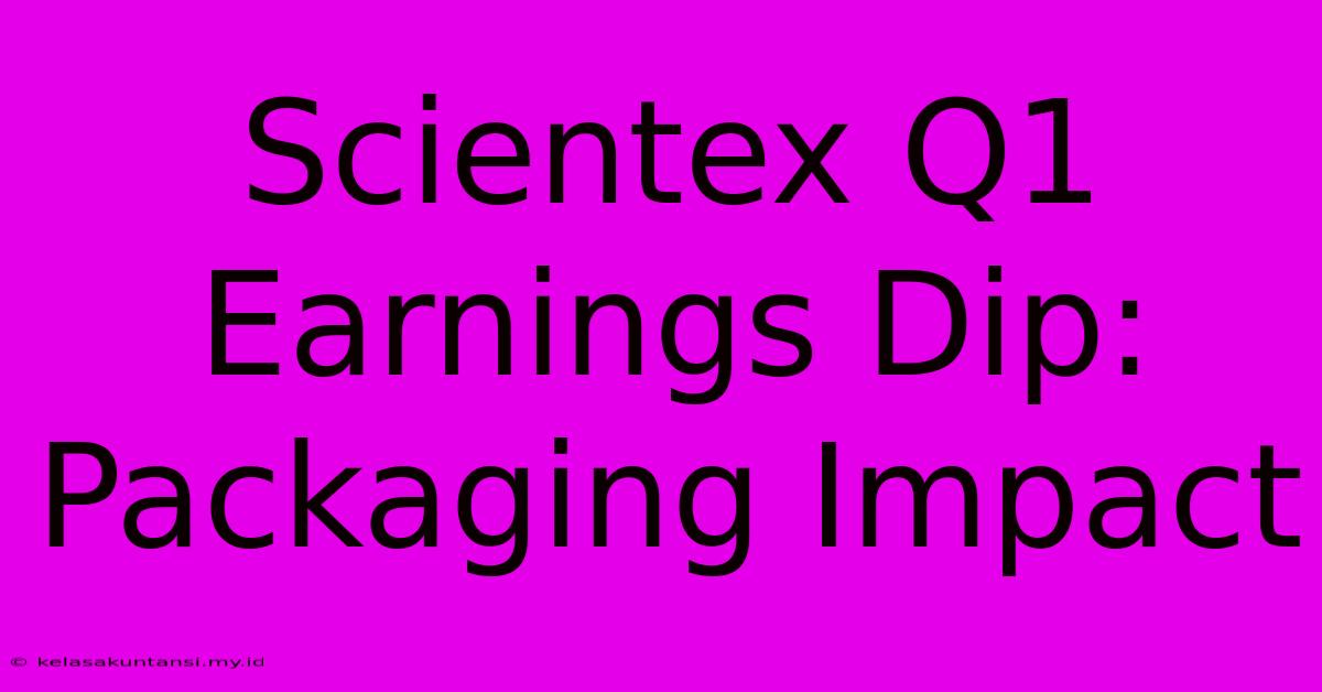 Scientex Q1 Earnings Dip: Packaging Impact