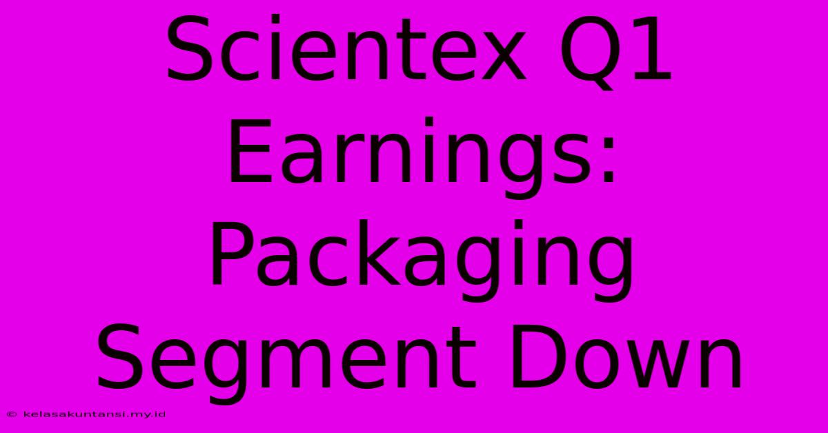 Scientex Q1 Earnings: Packaging Segment Down