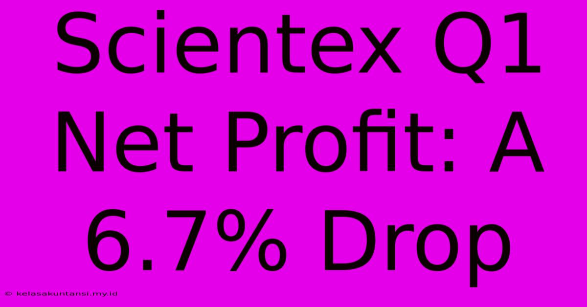 Scientex Q1 Net Profit: A 6.7% Drop