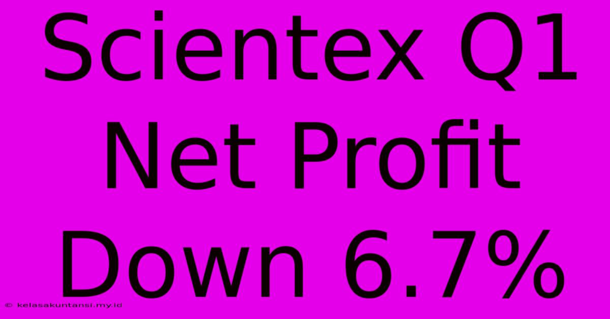 Scientex Q1 Net Profit Down 6.7%