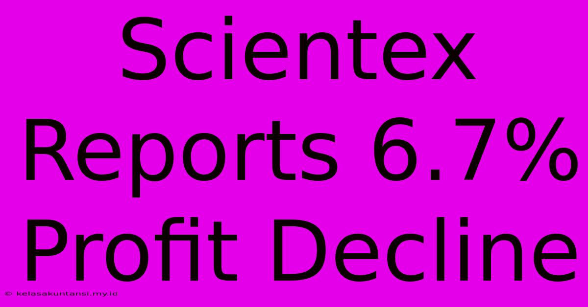 Scientex Reports 6.7% Profit Decline