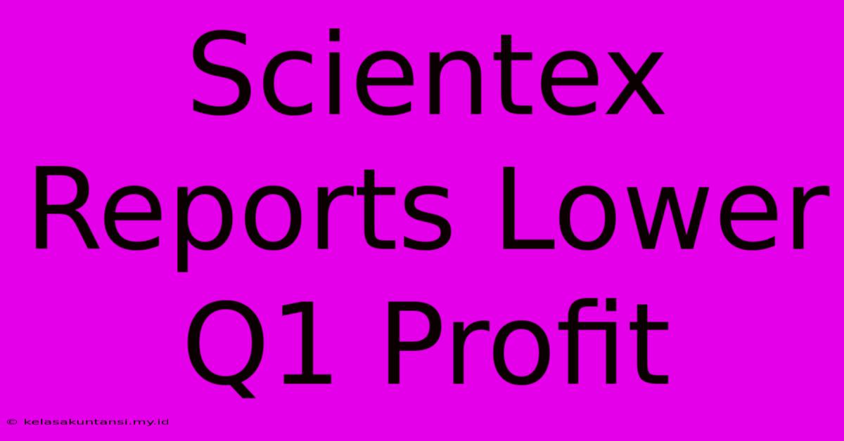 Scientex Reports Lower Q1 Profit