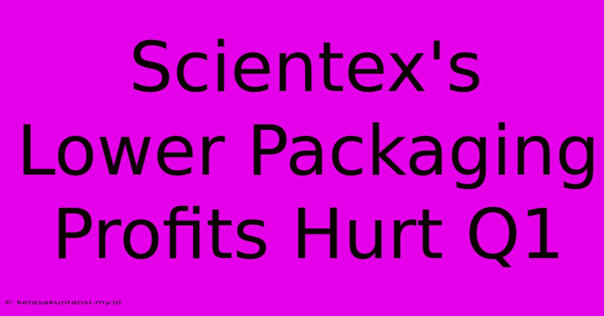 Scientex's Lower Packaging Profits Hurt Q1