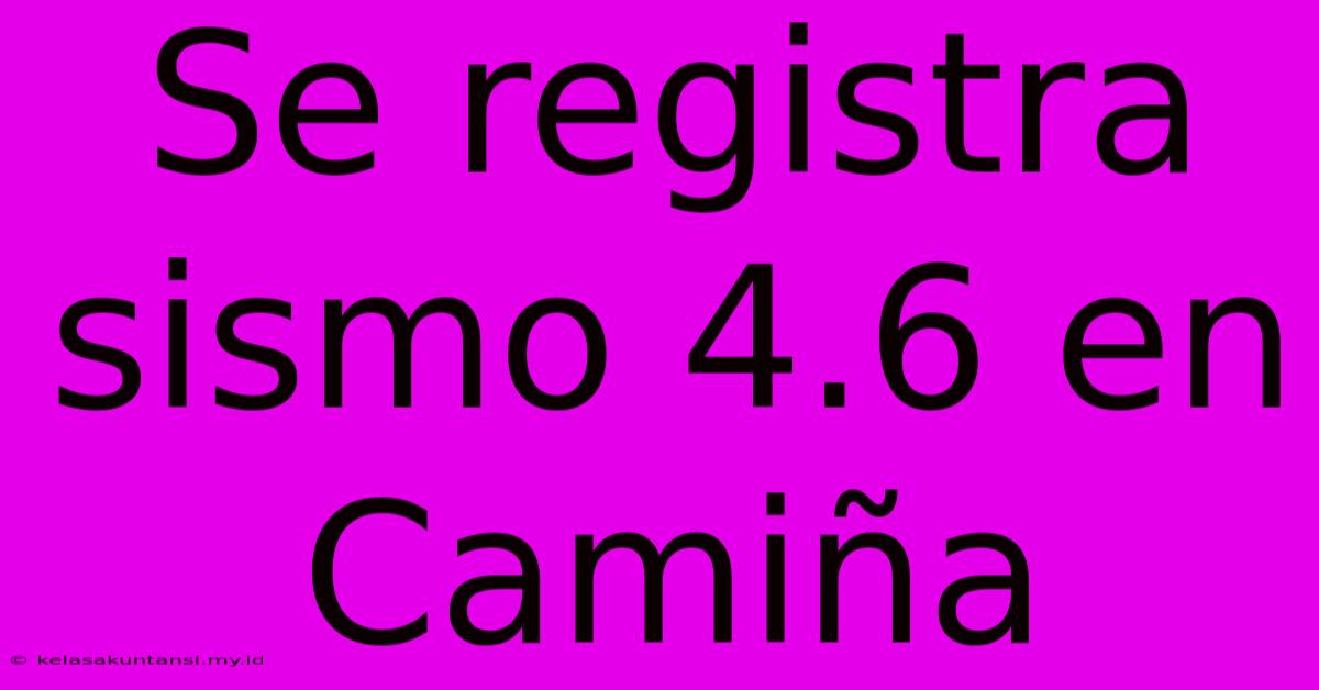 Se Registra Sismo 4.6 En Camiña