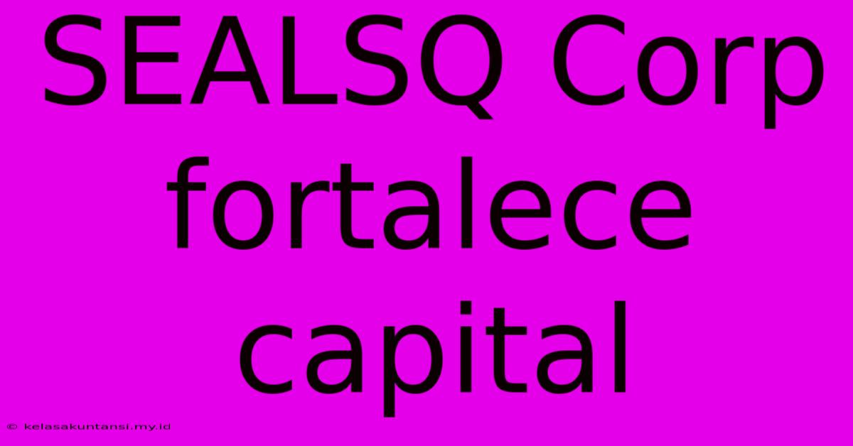 SEALSQ Corp Fortalece Capital